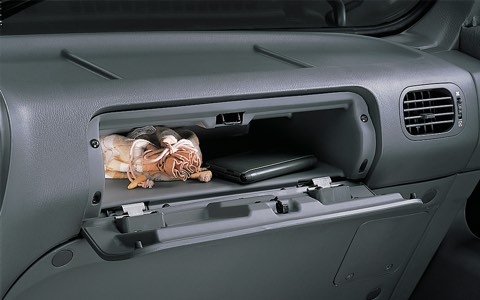 Glove Box