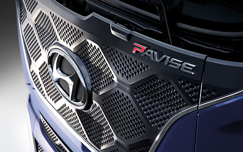 Large Radiator Grille